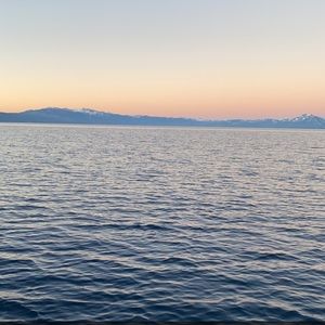 Meet your Posher, Gillian